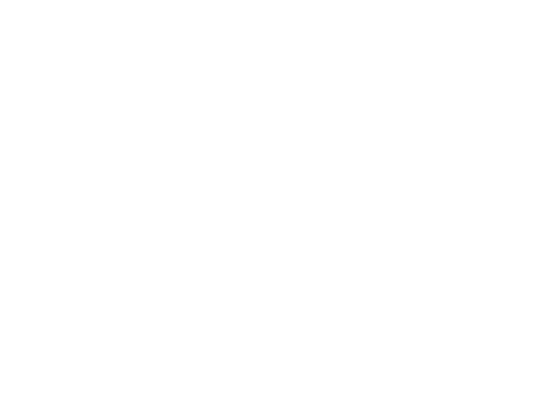 BLO Car Dryers
